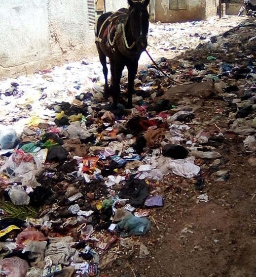 شكوى من تراكم القمامة في منطقة الحسينية بالزقازيق