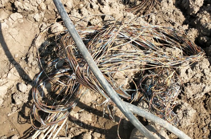  بسبب انقطاع الخدمة.. مطالبات بتغيير كابل إنترنت متهالك في بلبيس