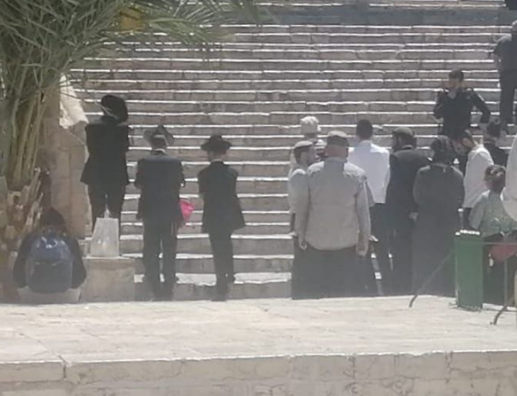  مستوطنون يقتحمون المسجد الأقصى بحماية مشددة من قوات الاحتلال
