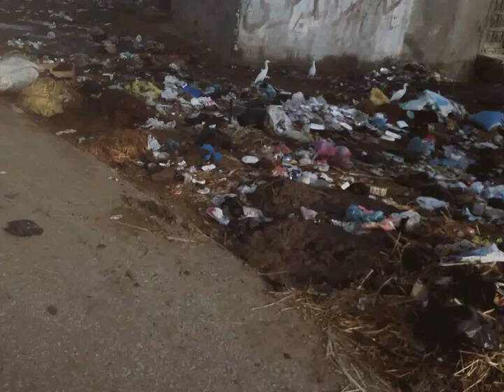  شكاوى من انتشار القمامة بطريق “الشرابنة – الحجازية” في الحسينية