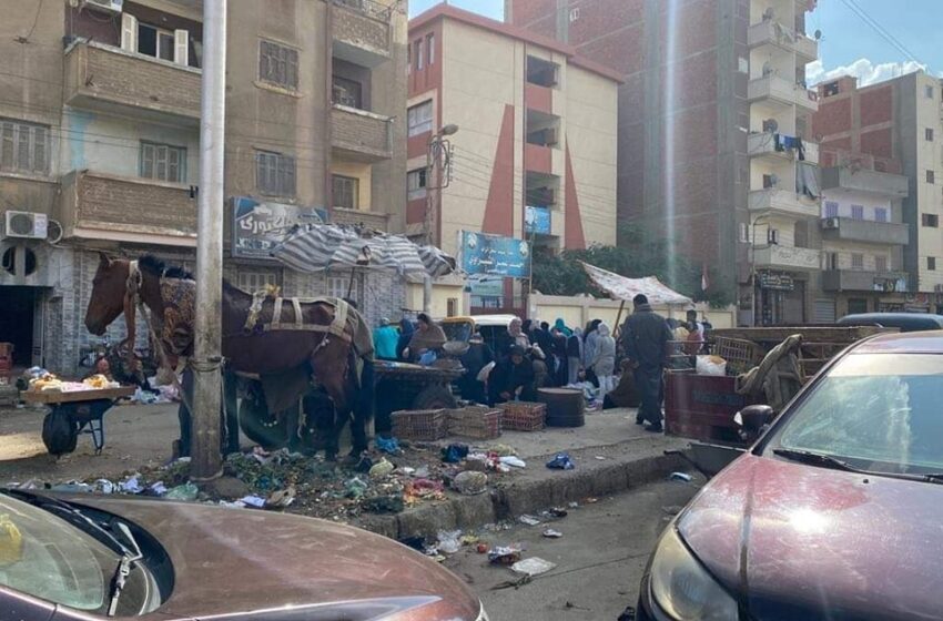  أهالي الزقازيق يشكون الضوضاء والزحام في سوق بقسم يوسف بك