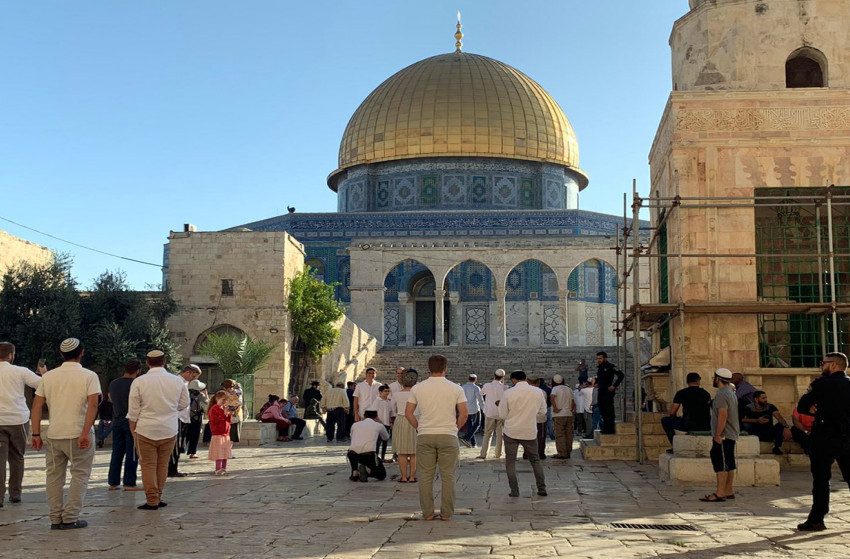  مستوطنون يقتحمون المسجد الأقصى وينفذون جولات استفزازية