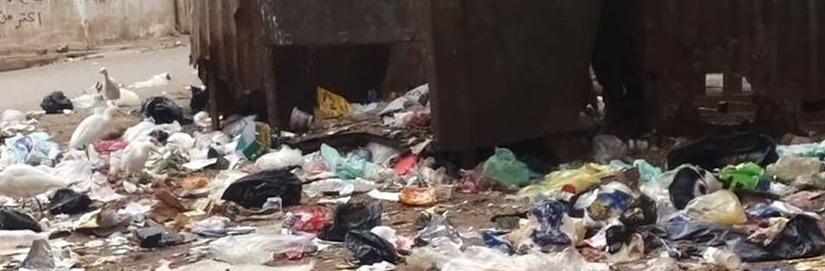  بالصور.. تكدس القمامة في منشأة التحرير بالإبراهيمية