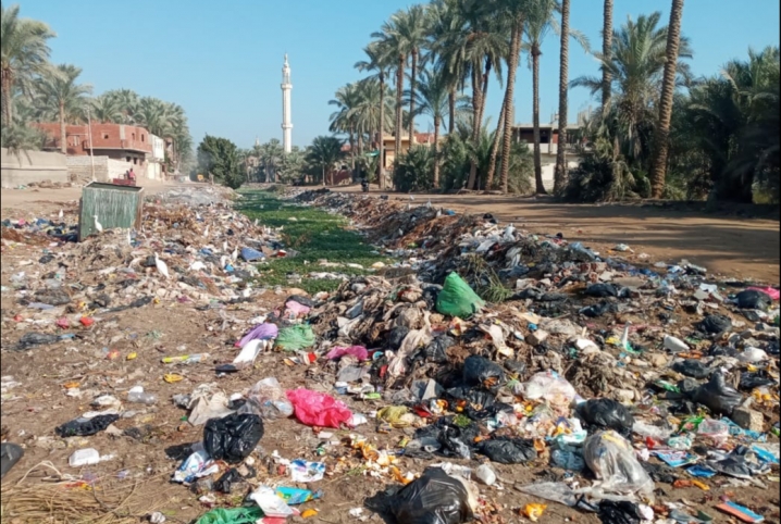  تراكم القمامة والحيوانات النافقة بمصرف القرين يهدد الأهالي