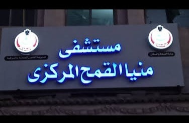 سائق يقتل عمه أثناء مشاجرة عائلية في منيا القمح