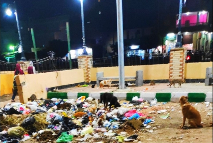  أهالي قسم الزقازيق البحري يشكون انتشار القمامة