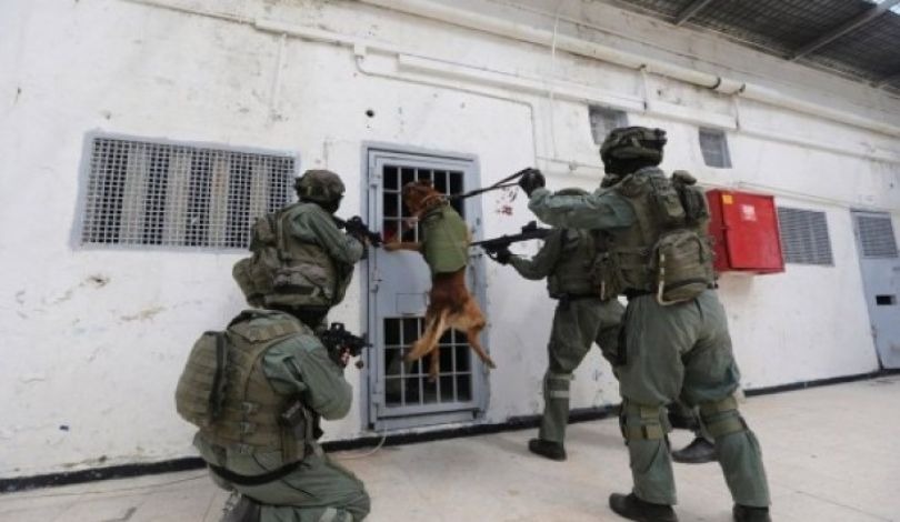  قوات القمع الصهيونية تقتحم قسماً في سجن جلبوع وتعتدي على الأسرى