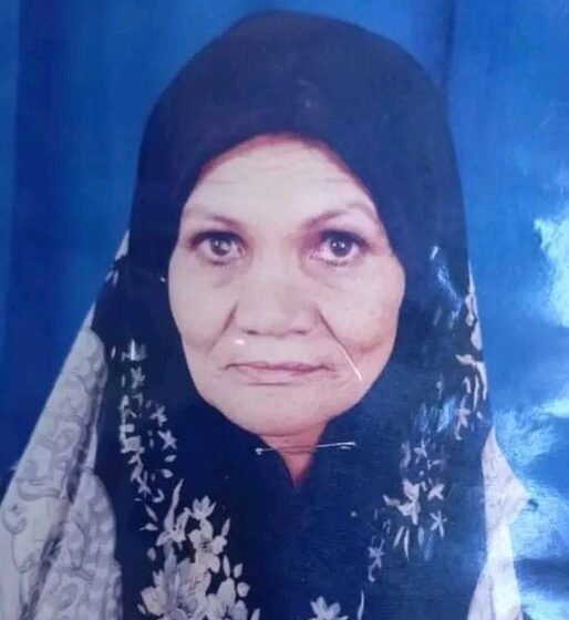  تغيب سيدة مسنة عن منزلها بمدينة الزقازيق
